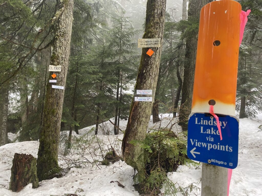 Eagle Mountain Hike - El Paso Junction