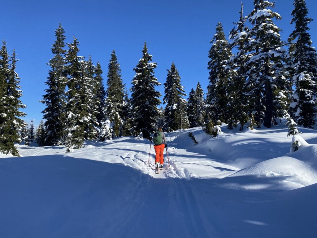 Red Heather Hut Backcountry Skiing