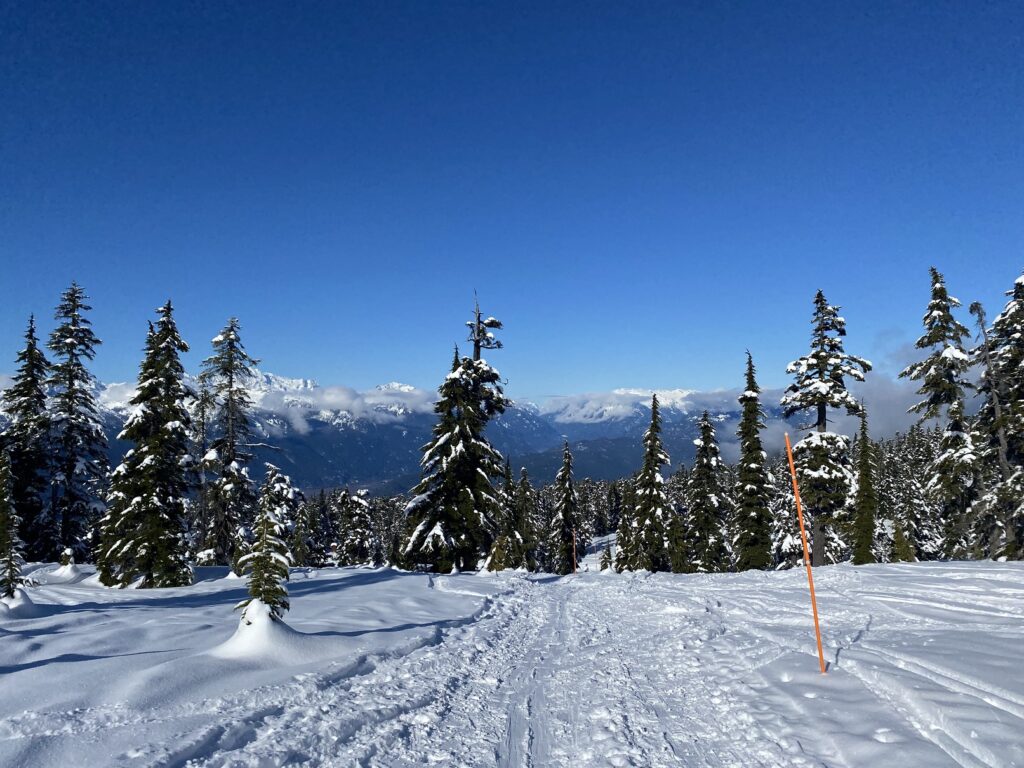 Round Mountain Backcountry Skiing