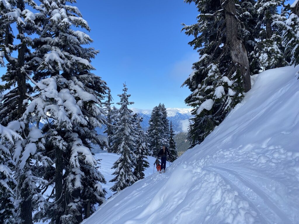 Round Mountain Backcountry Skiing