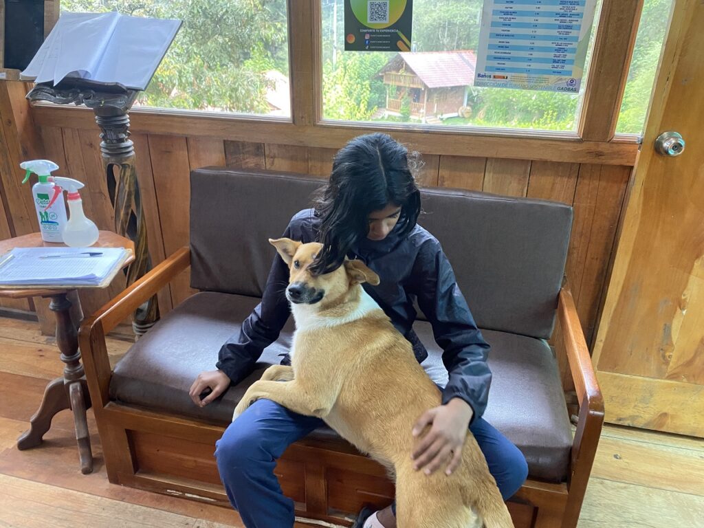 Ecuador Banos Puntzan Canopy Ziplining