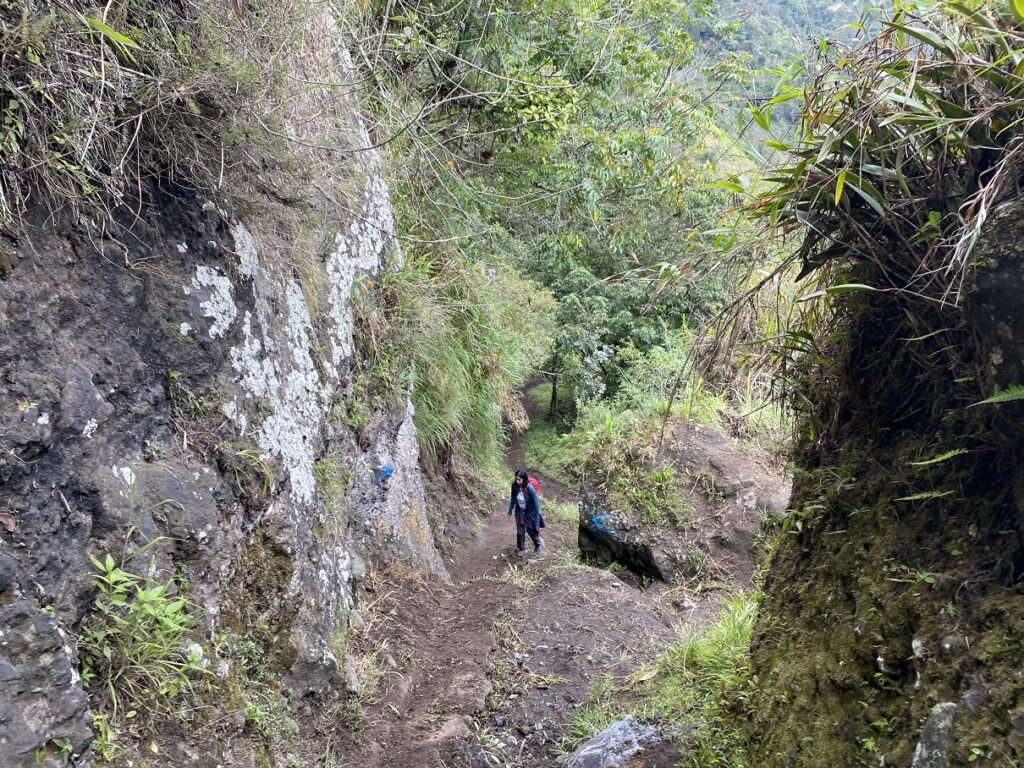 Mirador La Cruz Bellavista