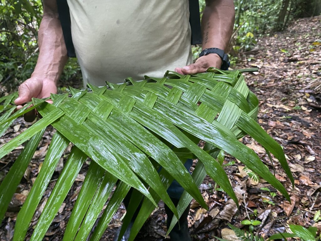 Ecuador Amazon - Sani Lodge Hike
