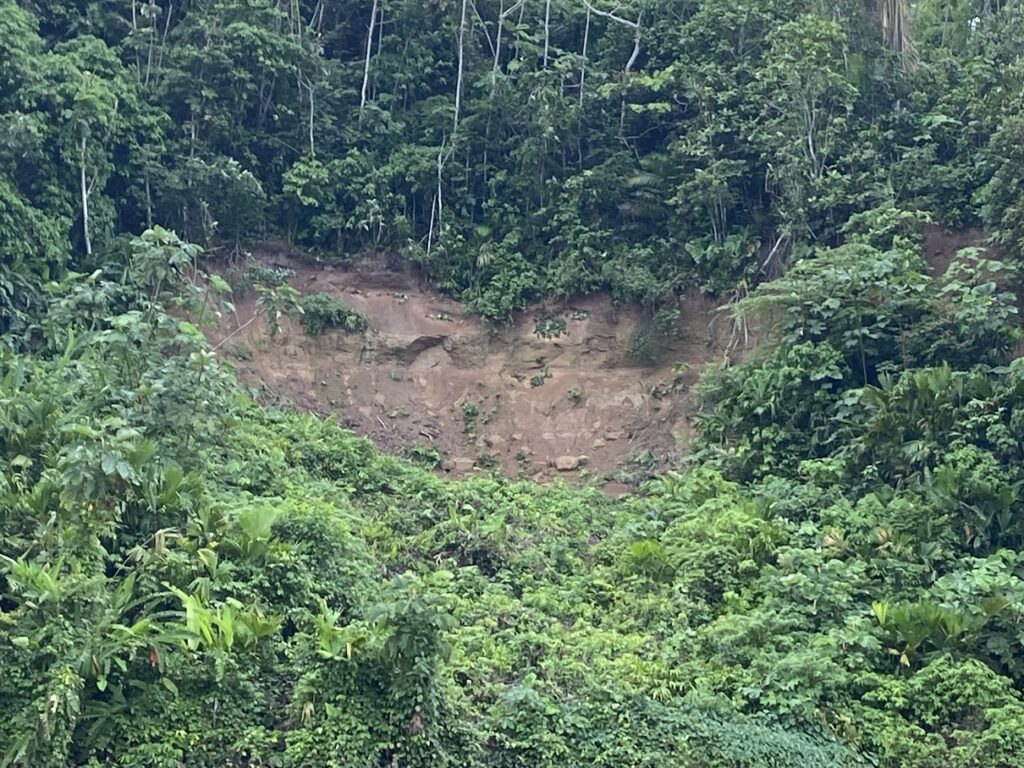 Napo River Parrot Clay Lick