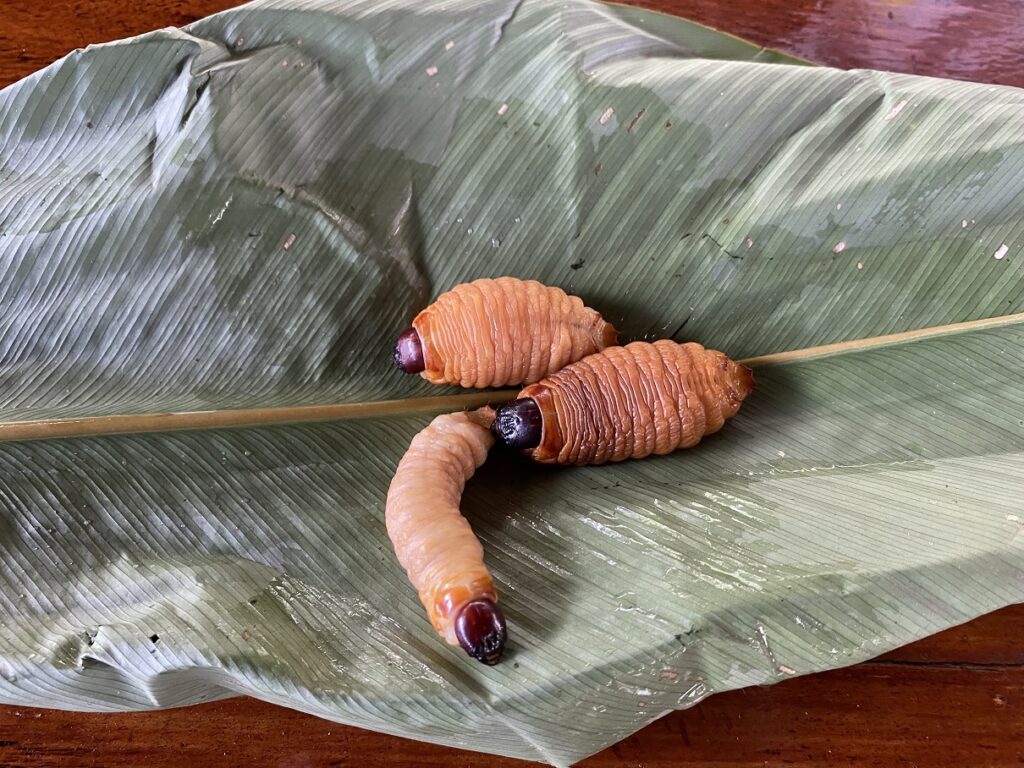 Sani Isla Community Centre Cooking Class