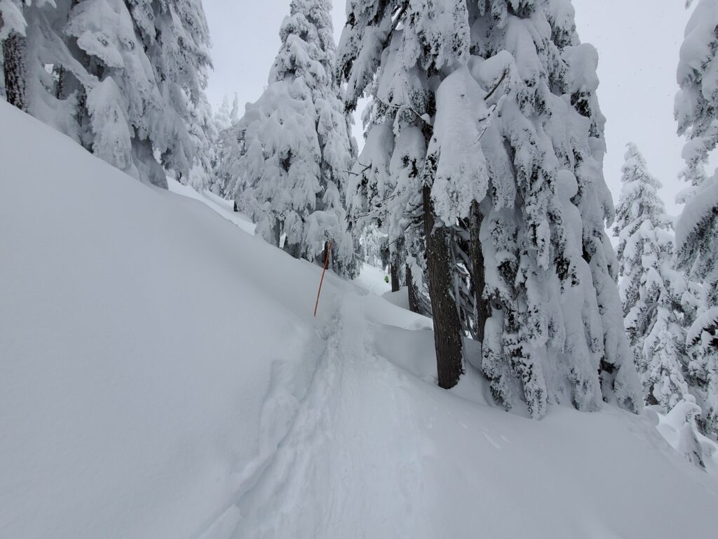 Snowshoeing Elfin Lakes Hut