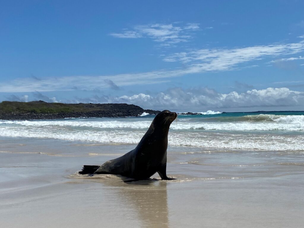 Ecuador Family trip Galapagos