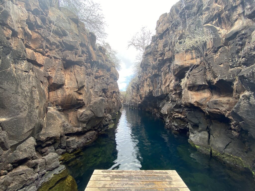 Ecuador Galapagos Santa Cruz Bay Tour Las Grietas