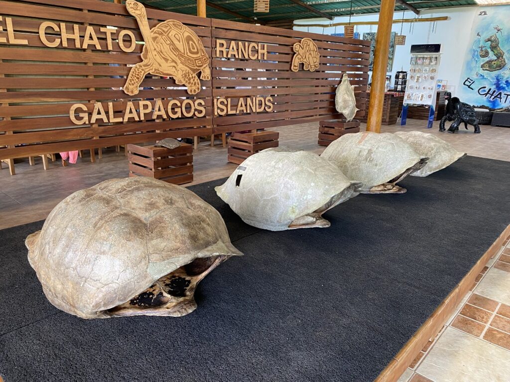 Ecuador Galapagos Santa Cruz El Chato Ranch