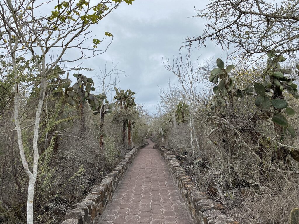 Ecuador Galapagos Santa Cruz Tortuga Bay Trail