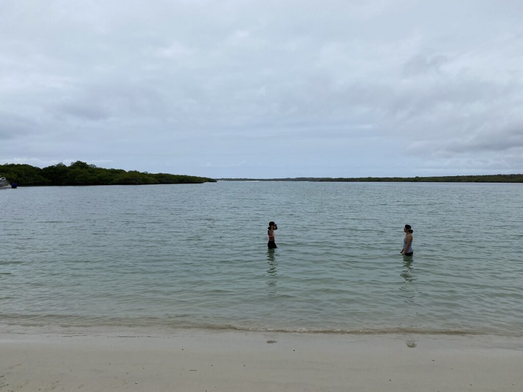 Ecuador Galapagos Santa Cruz Tortuga Bay Playa Mansa