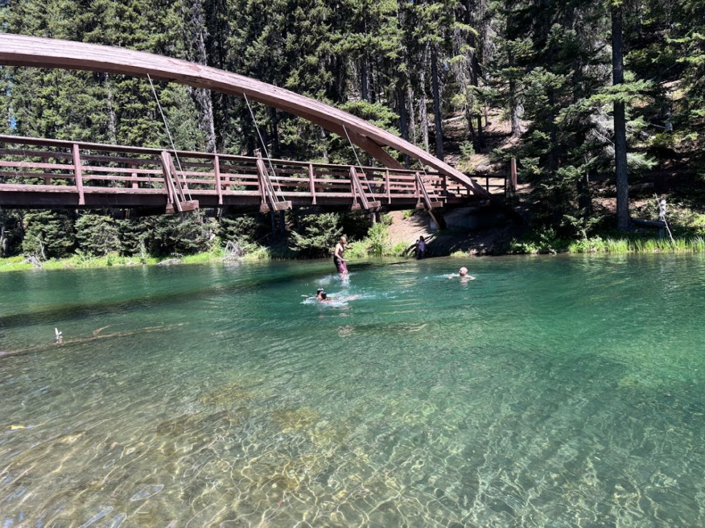 Jumping off Rainbow Bridge E C Manning Park